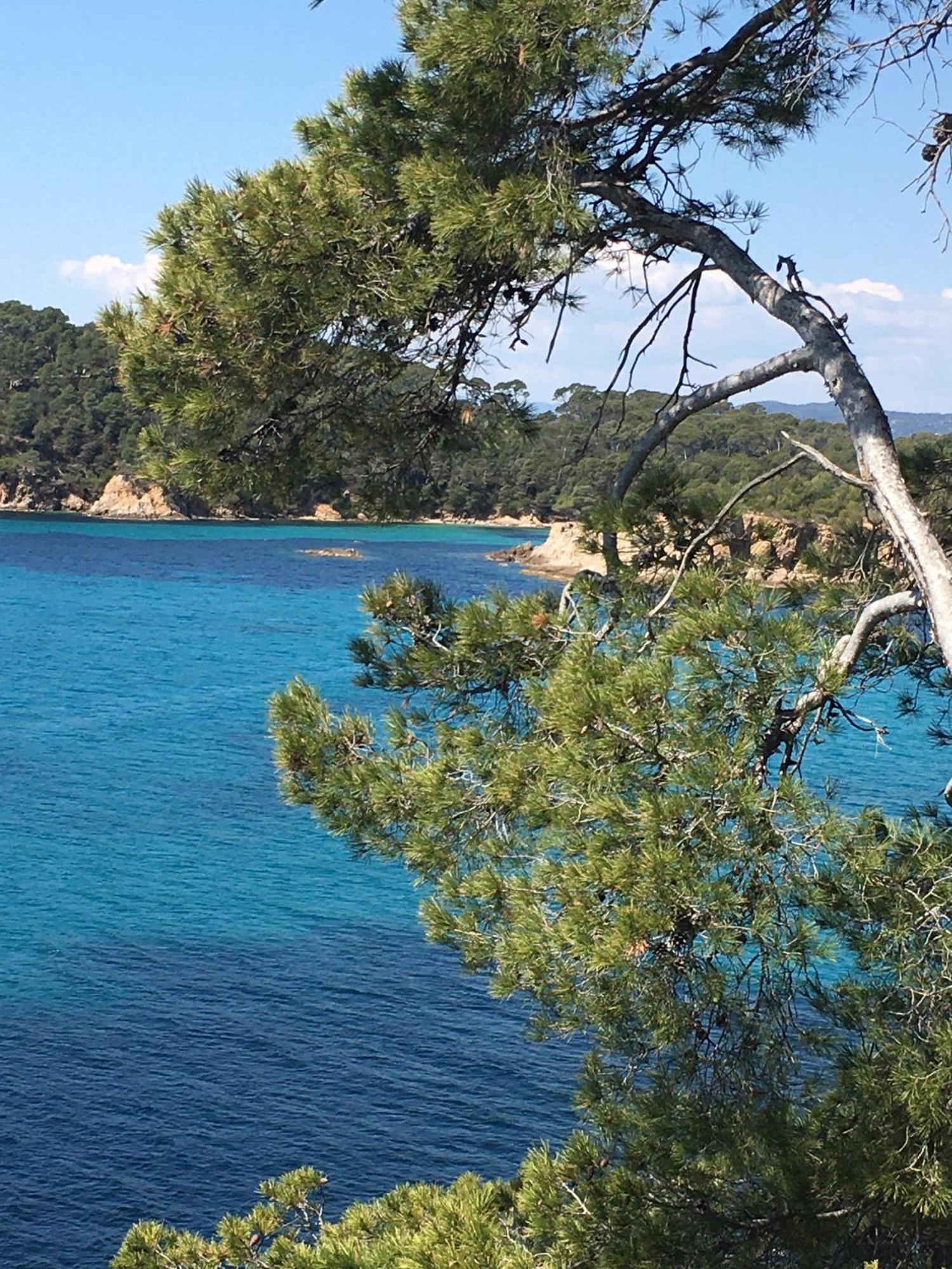 Appartement T3 Lumineux Traversant Totalement Neuf En Face De La Plage Front De Mer Vue Sur Les Iles Vue Mer Panoramique Assuree Residence De La Plage Centre Ville Du Lavandou 3Eme Etage Avec Ascenseur Appartement T3 Le Lavandou Exterior foto